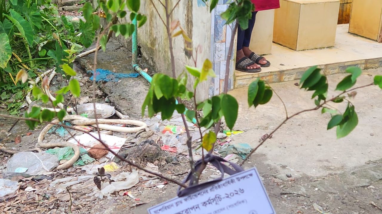 যশোরিয়ান ব্লাড ফাউন্ডেশনের প্রতিষ্ঠাবার্ষিকী উপলক্ষে বেনাপোলে দোয়া মাহফিল ও বৃক্ষরোপন অনুষ্ঠিত 