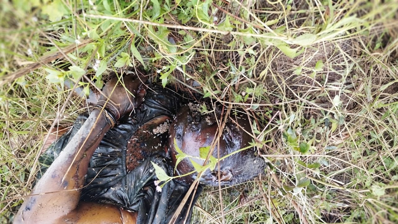 ঝিলমিলে অজ্ঞাত নারীর অর্ধগলিত মরদেহ উদ্ধার 