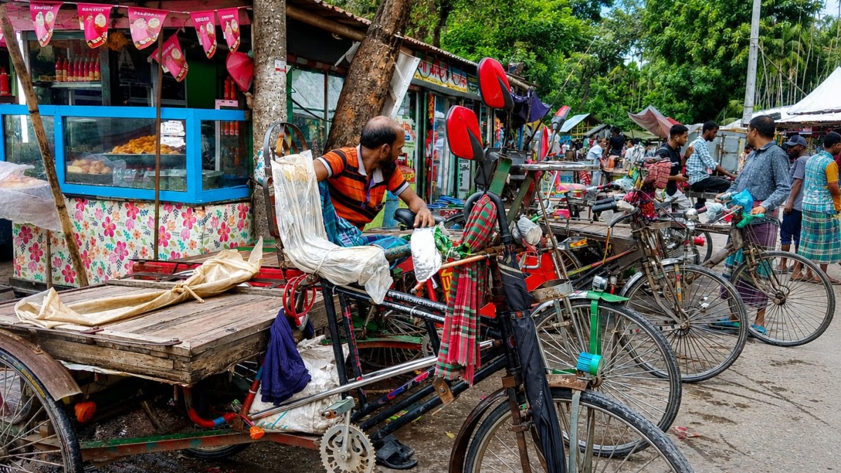 ঐতিহ্যে ভ্যানের শহর নাজিরপুর 