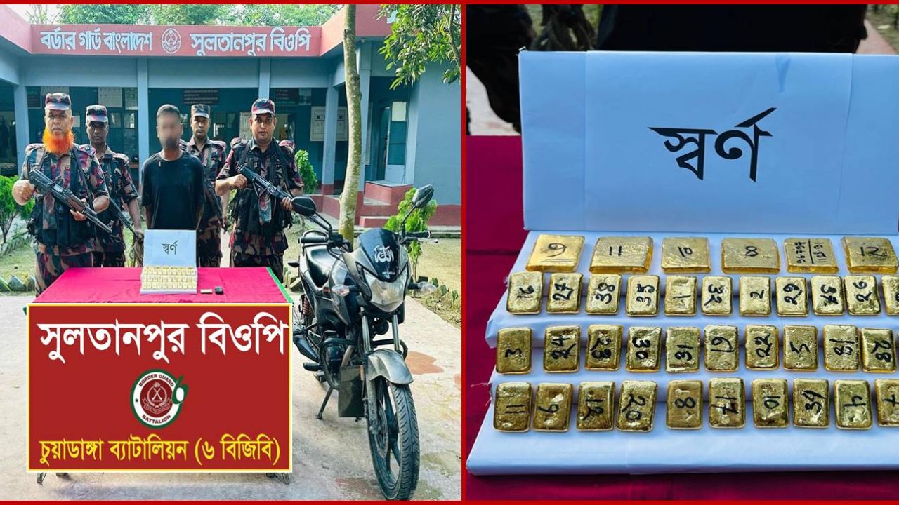 দর্শনা সীমান্তে বিপুল পরিমাণ সোনার বারসহ পাচারকারী আটক