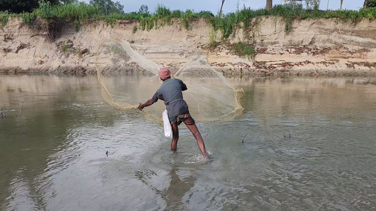 ছোট যমুনায় মাছশূন্যতা 