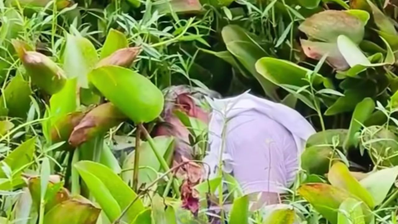 ত্রিশালে অজ্ঞাত লাশ উদ্ধার 