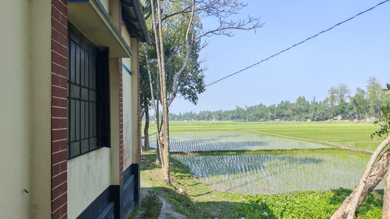 নাগেশ্বরীতে ধানক্ষেত থেকে মানুষের খণ্ডিত পা উদ্ধার 