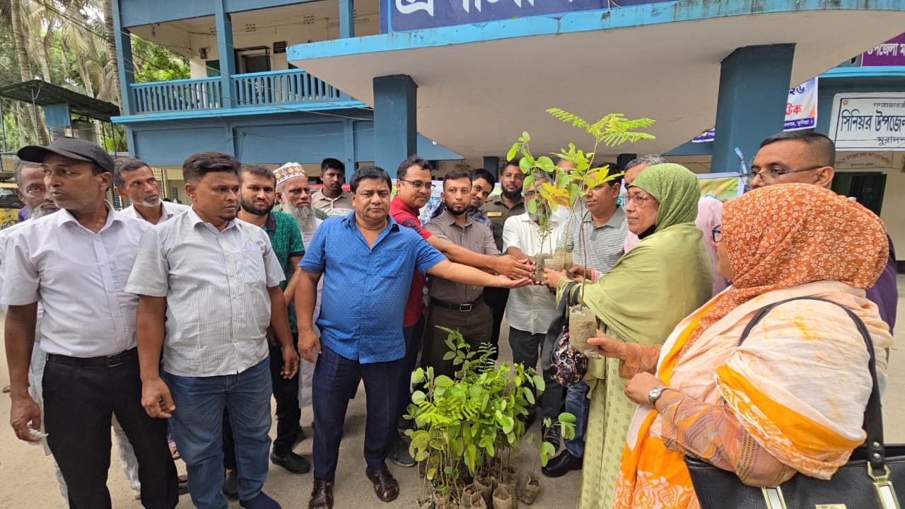 ধর্মমন্ত্রীর উদ্যোগে মুরাদনগরে ১০ হাজার গাছের চারা বিতরণ 