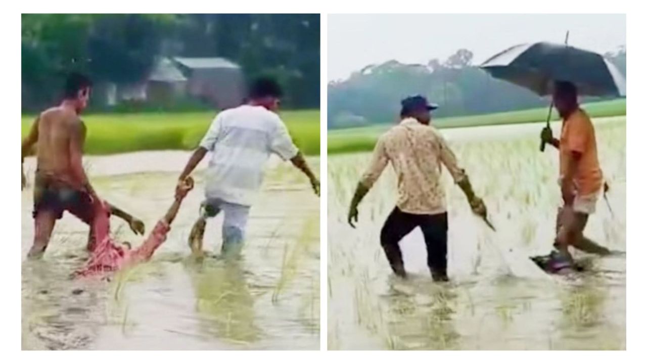 বাগেরহাটে বজ্রপাতে আপন দুই ভাই নিহত 