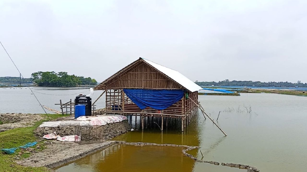 দক্ষিণ পশ্চিম অঞ্চলে চিংড়ি রেনু সংকটে চাষিরা 