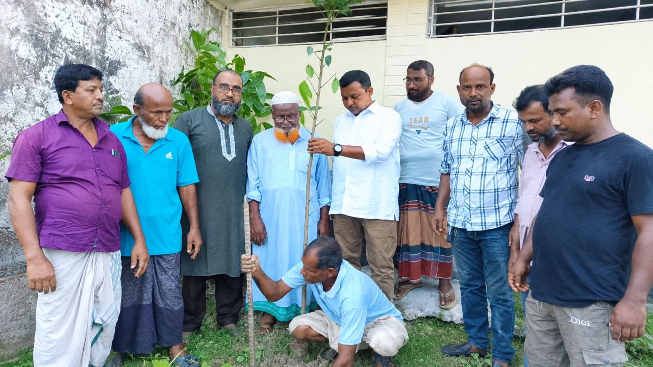 উল্লাপাড়া কয়ড়া ইউনিয়নে বৃক্ষরোপণ কর্মসূচি 