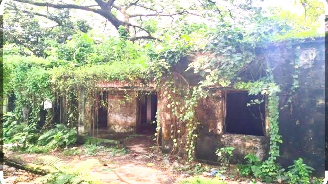 হিন্দু সম্প্রদায়ের জমি ও ধর্মীয় স্থাপনা রক্ষায় প্রশাসনের হস্তক্ষেপ চায় সমুদয়কাঠী এলাকাবাসী