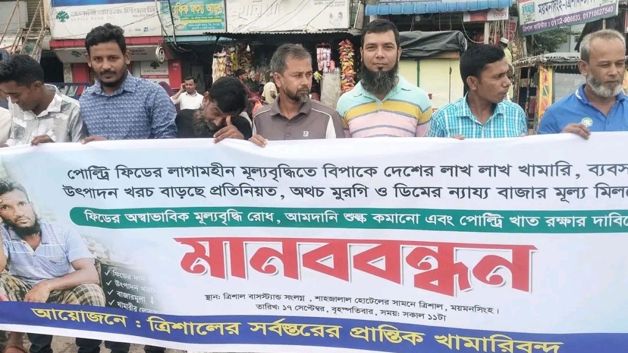 ফিডের অস্বাভাবিক দামে দেউলিয়া ময়মনসিংহের ত্রিশালের খামারী 