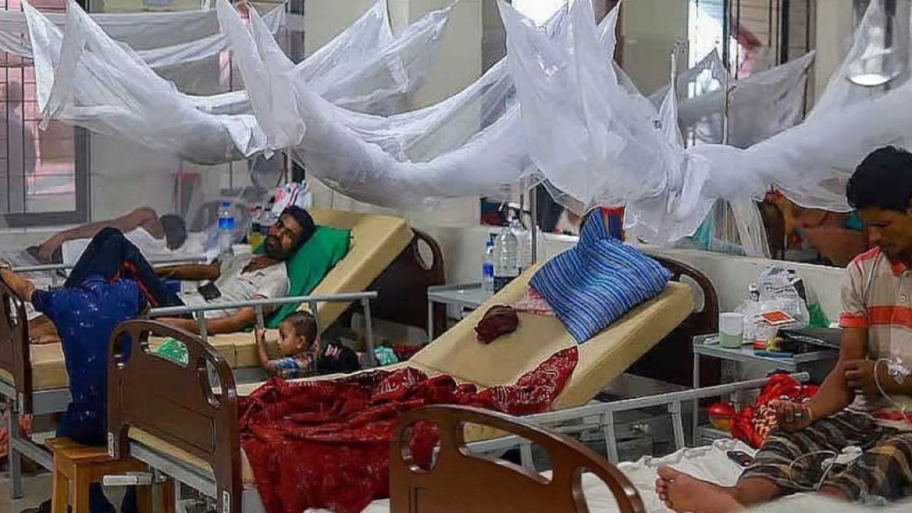 সেপ্টেম্বরেই ডেঙ্গুতে ১১৩ মৃত্যু 
