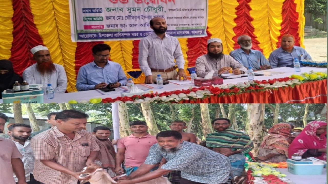 মাদারগঞ্জে পিপিআর রোগ নির্মূলে সচেতনতামূলক কর্মসূচি অনুষ্ঠিত 