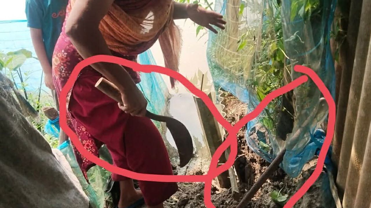 শ্যামনগরে সাংবাদিকের বাড়িতে হামলা 