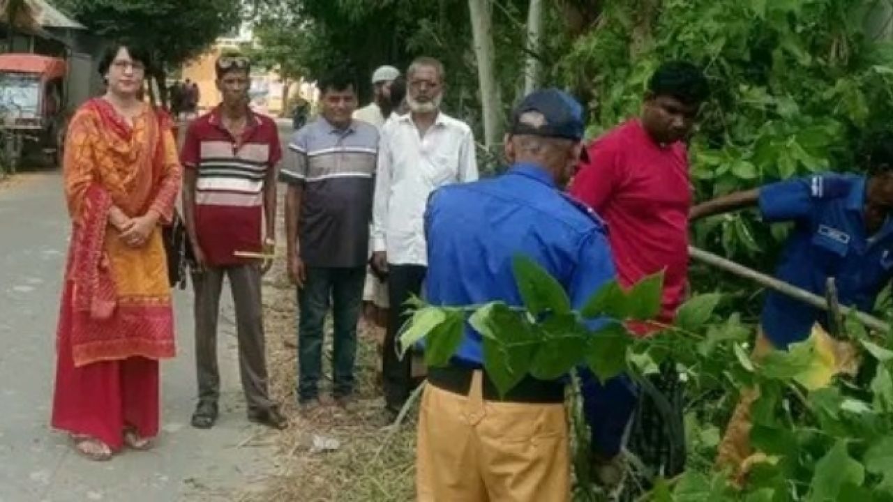 উল্লাপাড়ায় সড়কের পাশের ঝুঁকিপূর্ণ জঙ্গল পরিষ্কার 