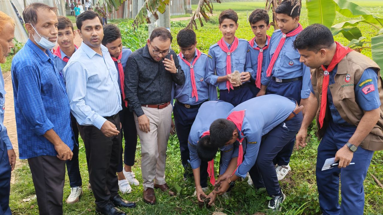 মনোহরদীতে ২ হাজার তালবীজ রোপণ 