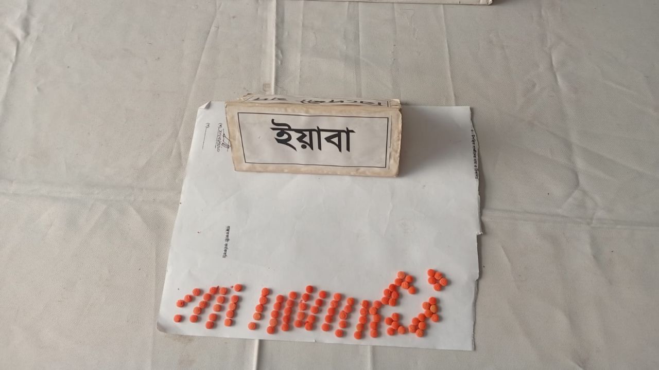 ইয়াবাসহ ডেমরায় মাদক ব্যবসায়ী গ্রেফতার